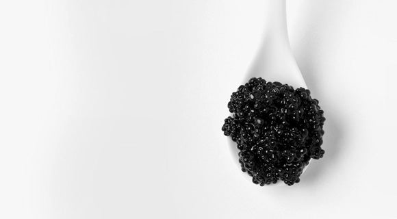 Beluga Caviar – Attilus Kaviar S